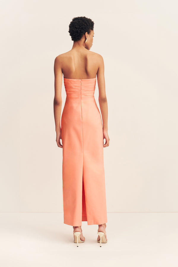 77_Lani_Strapless_Draped_Maxi_Dress_PECH_1251192_4_R.jpg