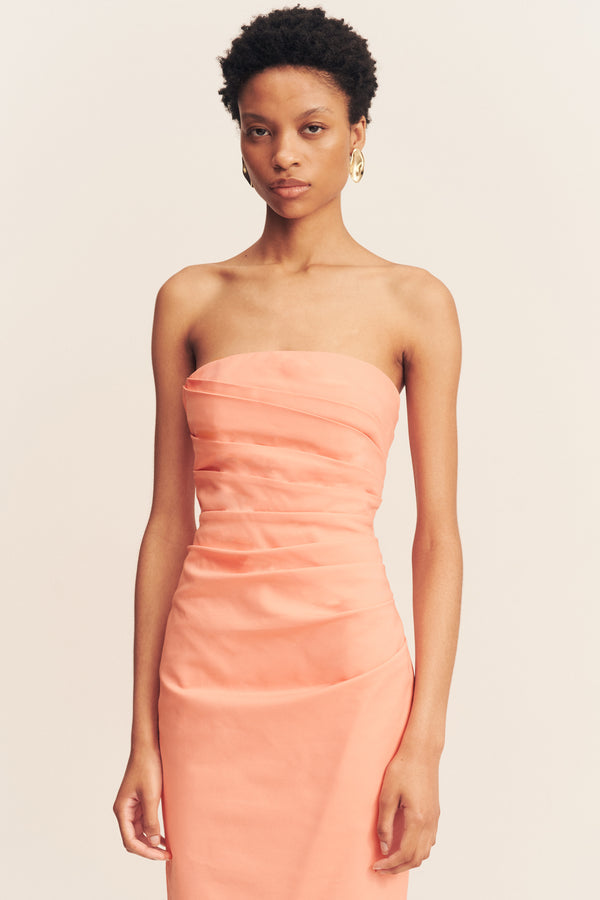 77_Lani_Strapless_Draped_Maxi_Dress_PECH_1251192_5_R.jpg